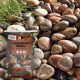 Large Beach Cobbles 70-140mm
