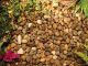 Kelkay Premium Balmoral Pebbles 14-20mm
