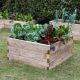 Forest Caledonian Square Raised Bed