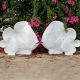 Dinova Garden Art Animals Fish Pair Large