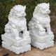 Dinova Oriental Foo Dogs Pair XL
