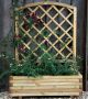 Forest Toulouse Planter