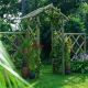 Forest Garden Rose Arch