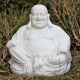 Dinova Oriental Laughing Buddha L