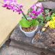 Deco-Pak Horticultural Lytag