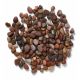 Kelkay Caledonian Premium Pebbles 14-20mm