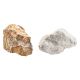 Coral Twist Polar Mist Rockery