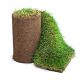 Top Green Turf