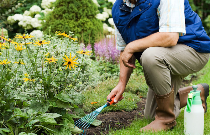 Gardening For Beginners: Easy Projects To Get Started