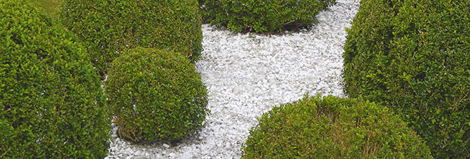 How To: Pebble Mosaics