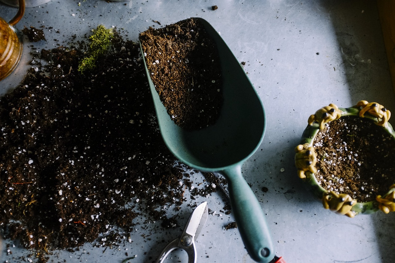 Simple Yet Effective Upgrades Your Garden Will Benefit From