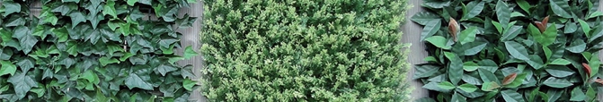 Artificial Hedge Panels