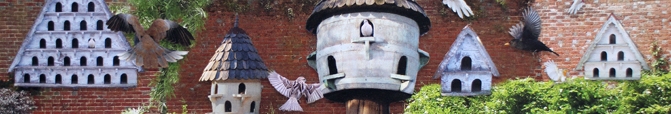 Birdhouse & Bug Boxes