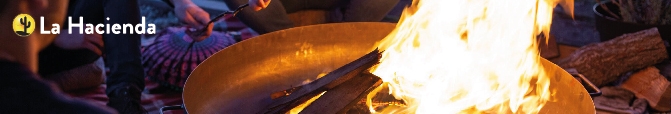 Firepits Firebaskets & Fireplaces