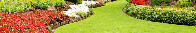 Horticultural