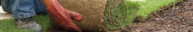  Turf